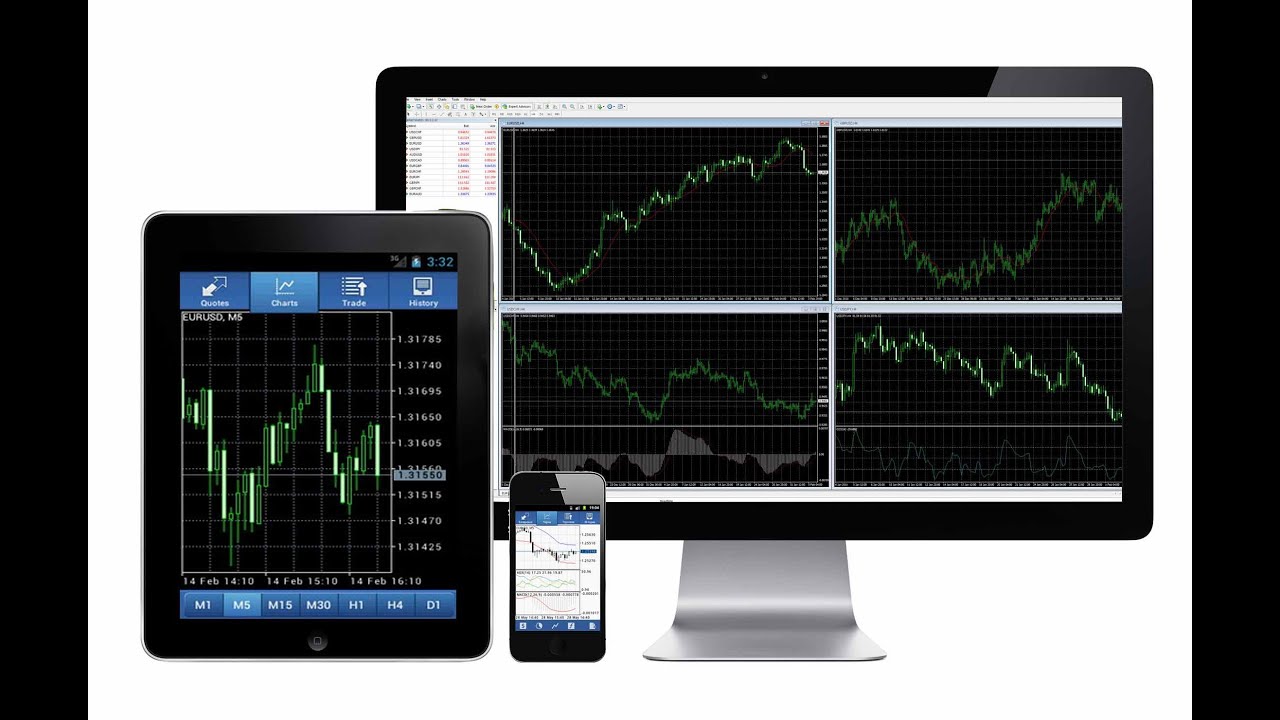 Download the forex terminal rating of free forex Expert Advisors